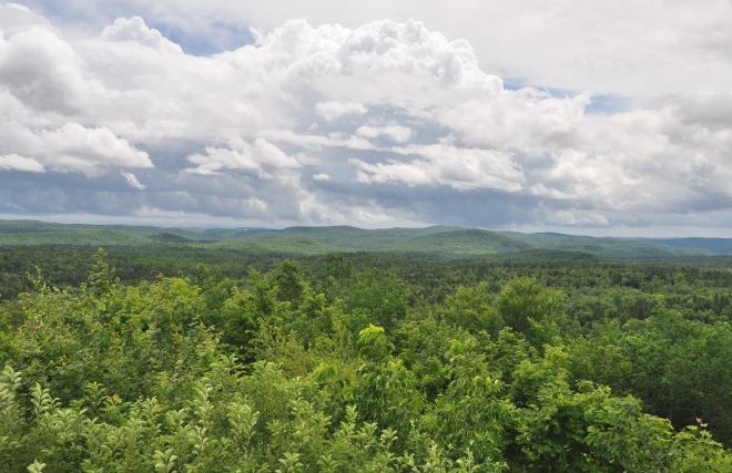 Hogback Mtn, VT